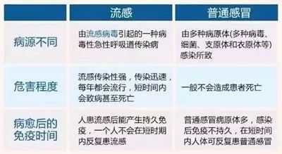 全球流感致死事件，挑战与应对策略